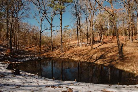 4760 Highway 5, Benton, AR 72019 photo 10