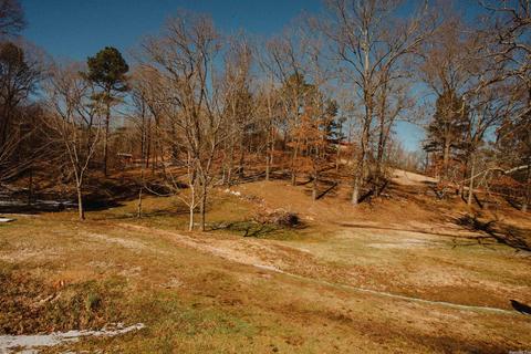 4760 Highway 5, Benton, AR 72019 photo 6