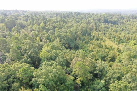 127 Cantrell Rd, Amity, AR 71921 photo 28
