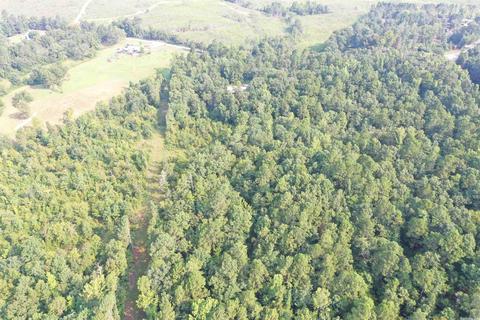 127 Cantrell Rd, Amity, AR 71921 photo 25