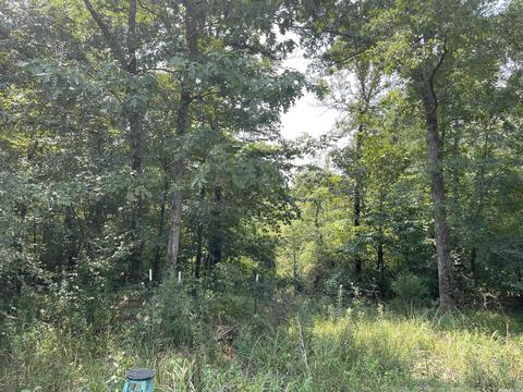 127 Cantrell Rd, Amity, AR 71921 photo 20