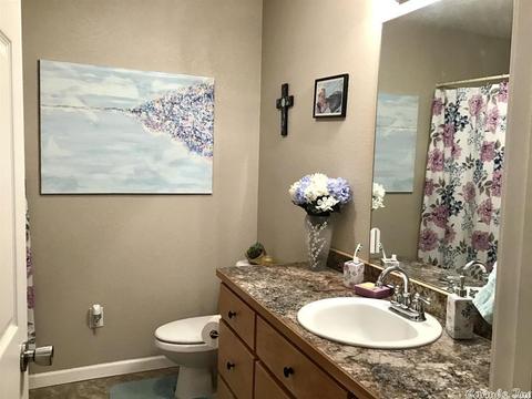 220 Skylen Ln, Bismarck, AR 71929 photo 14