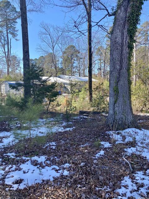 9906 Kling Rd, Mabelvale, AR 72103 photo 12