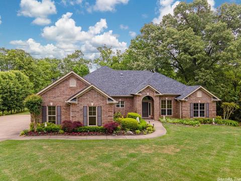8 Eagle Shore Dr, Conway, AR 72032 photo 44