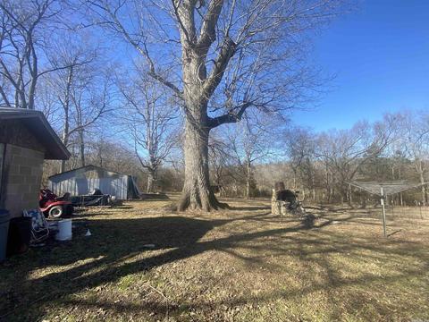 492 E Mary St, Williford, AR 72482 photo 28