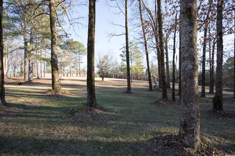 126 Maxey Rd, Amity, AR 71921 photo 34