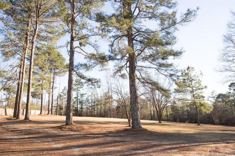126 Maxey Rd, Amity, AR 71921 photo 32