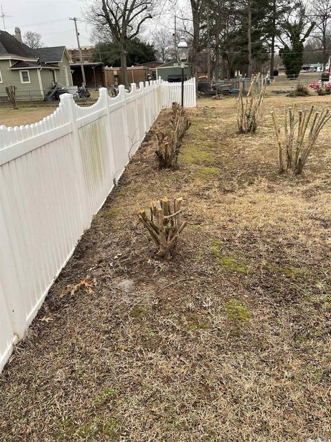 319 E 4th St, Lonoke, AR 72086 photo 8