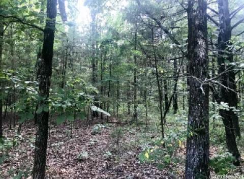303 Wildcat Loop, Searcy, AR 72143 photo 18