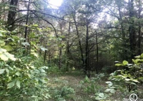 303 Wildcat Loop, Searcy, AR 72143 photo 19