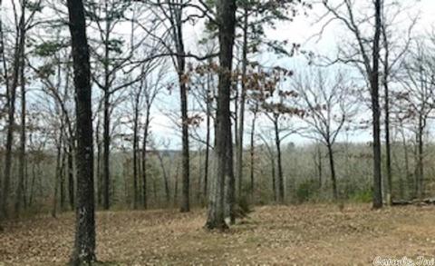 303 Wildcat Loop, Searcy, AR 72143 photo 15