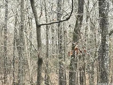 303 Wildcat Loop, Searcy, AR 72143 photo 20