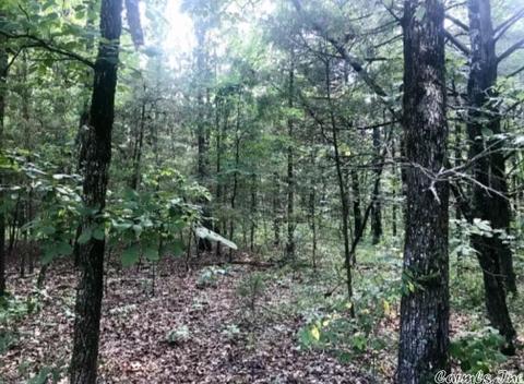 303 Wildcat Loop, Searcy, AR 72143 photo 16