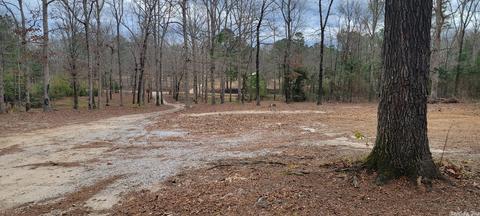 176 Billstown Rd, Delight, AR 71940 photo 10