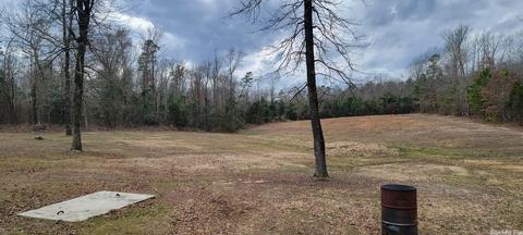 176 Billstown Rd, Delight, AR 71940 photo 18