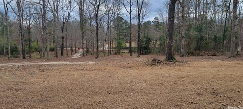 176 Billstown Rd, Delight, AR 71940 photo 11