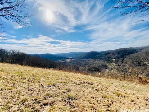 978 Double Bridge Loop, Mountain View, AR 72560 photo 3