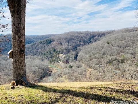 978 Double Bridge Loop, Mountain View, AR 72560 photo 22