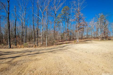 907 Nature Way, Benton, AR 72019 photo 45