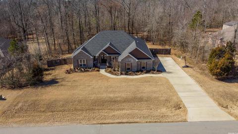 6063 Kamden Cv, Alexander, AR 72002 photo 48