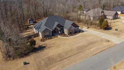 6063 Kamden Cv, Alexander, AR 72002 photo 50