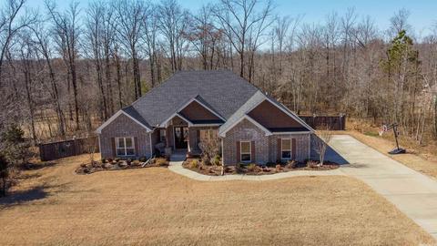6063 Kamden Cv, Alexander, AR 72002 photo 49