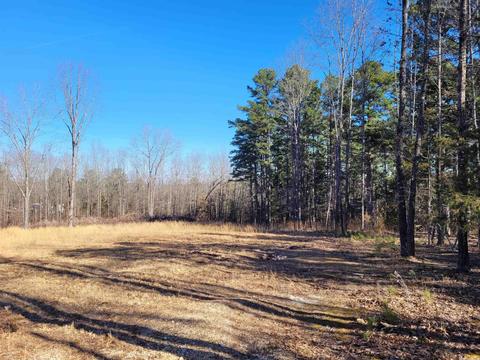 775 Chapel Hill Loop, Brockwell, AR 72517 photo 5