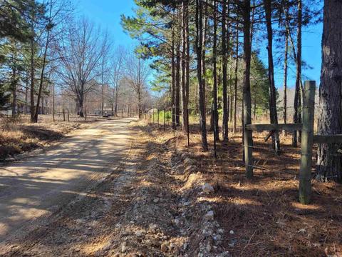 775 Chapel Hill Loop, Brockwell, AR 72517 photo 14