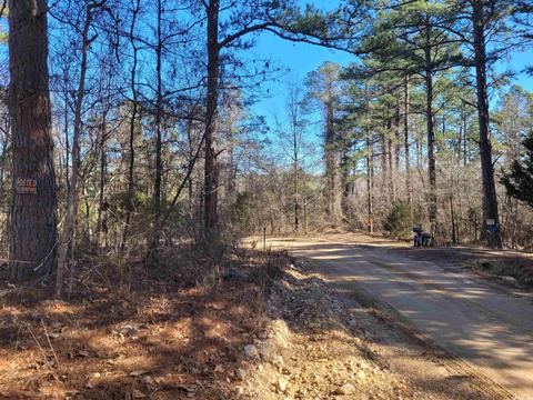 775 Chapel Hill Loop, Brockwell, AR 72517 photo 13