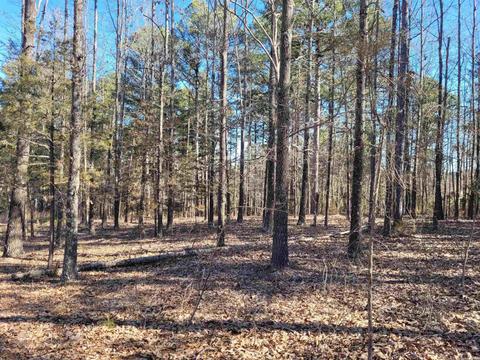 775 Chapel Hill Loop, Brockwell, AR 72517 photo 4