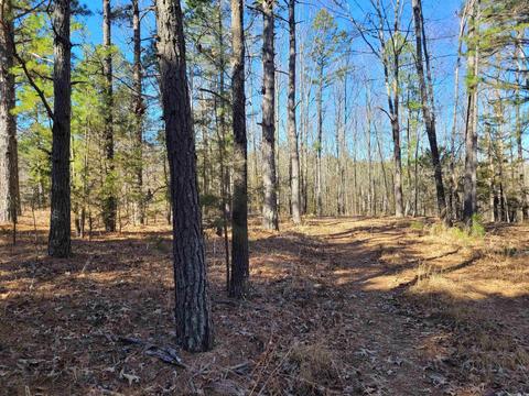 775 Chapel Hill Loop, Brockwell, AR 72517 photo 1