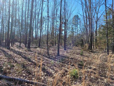 775 Chapel Hill Loop, Brockwell, AR 72517 photo 11
