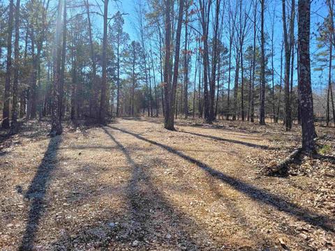 775 Chapel Hill Loop, Brockwell, AR 72517 photo 12