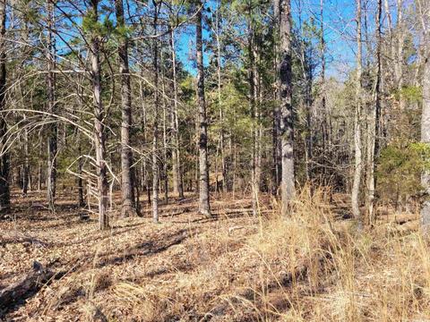 775 Chapel Hill Loop, Brockwell, AR 72517 photo 8