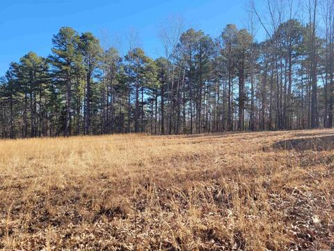 775 Chapel Hill Loop, Brockwell, AR 72517 photo 10