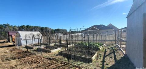 9800 Mars Hill Rd, Bauxite, AR 72011 photo 38