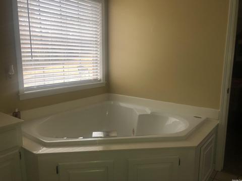3185 Cleburne Cove Cv, Conway, AR 72034 photo 8