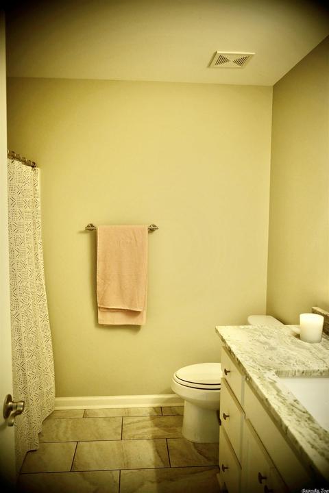 416 Windrush Pt, Alexander, AR 72002 photo 28