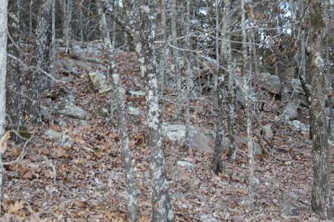 12 Echo Vly, Conway, AR 72032 photo 31