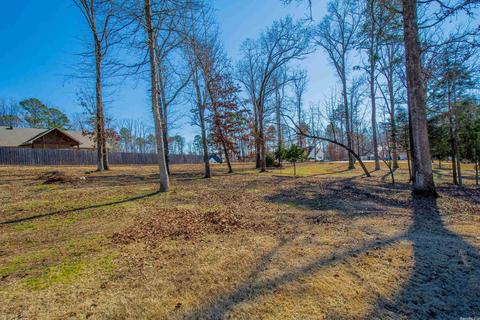 2049 Mohegan Trl, Benton, AR 72019 photo 47