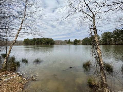 1268 County Road 418, Rector, AR 72461 photo 11