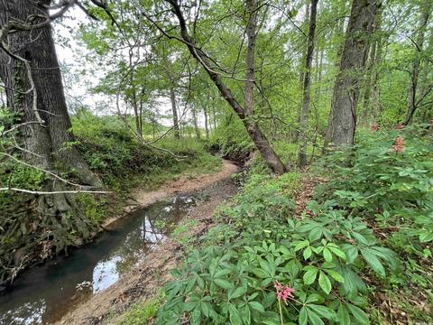 1268 County Road 418, Rector, AR 72461 photo 3