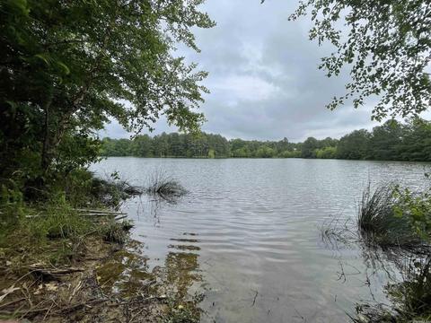 1268 County Road 418, Rector, AR 72461 photo 17