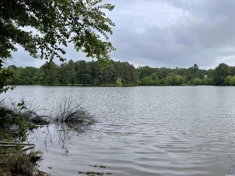 1268 County Road 418, Rector, AR 72461 photo 16