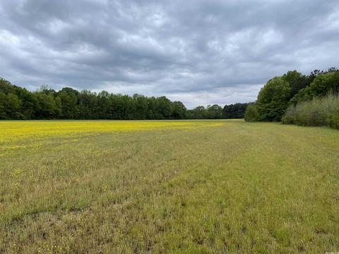 1268 County Road 418, Rector, AR 72461 photo 1