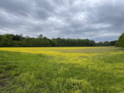 1268 County Road 418, Rector, AR 72461 photo 8