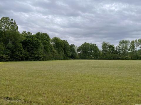 1268 County Road 418, Rector, AR 72461 photo 7