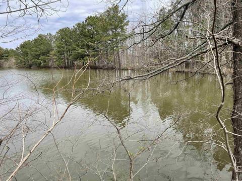 1268 County Road 418, Rector, AR 72461 photo 10