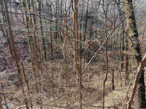 1206 River Oaks Dr, Benton, AR 72019 photo 30