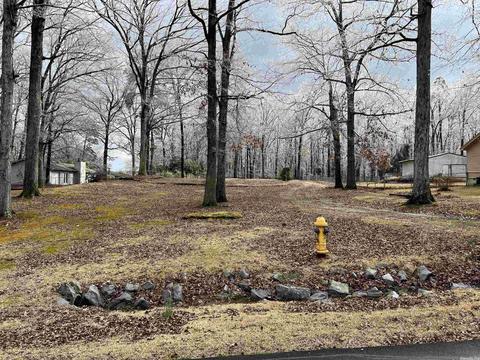 1138 Ruby Dr, Redfield, AR 72132 photo 1